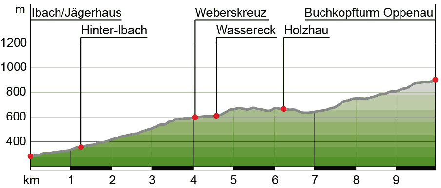 Wanderung Oppenau - Ibach - Buchkopfturm