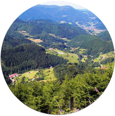 Maisach Schwarzwald